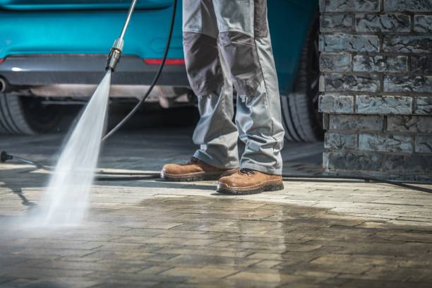 Best Boat and Dock Cleaning  in Zephyrhills South, FL