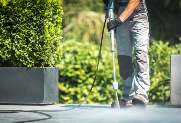 Best Solar Panel Cleaning  in Zephyrhills South, FL