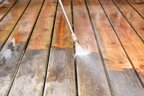 Best Roof Washing  in Zephyrhills South, FL