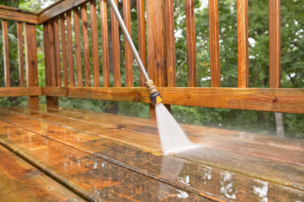 Best Spring Cleaning  in Zephyrhills South, FL