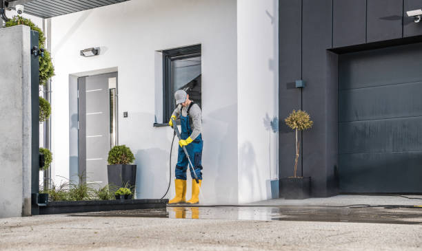 Best Rust Removal  in Zephyrhills South, FL